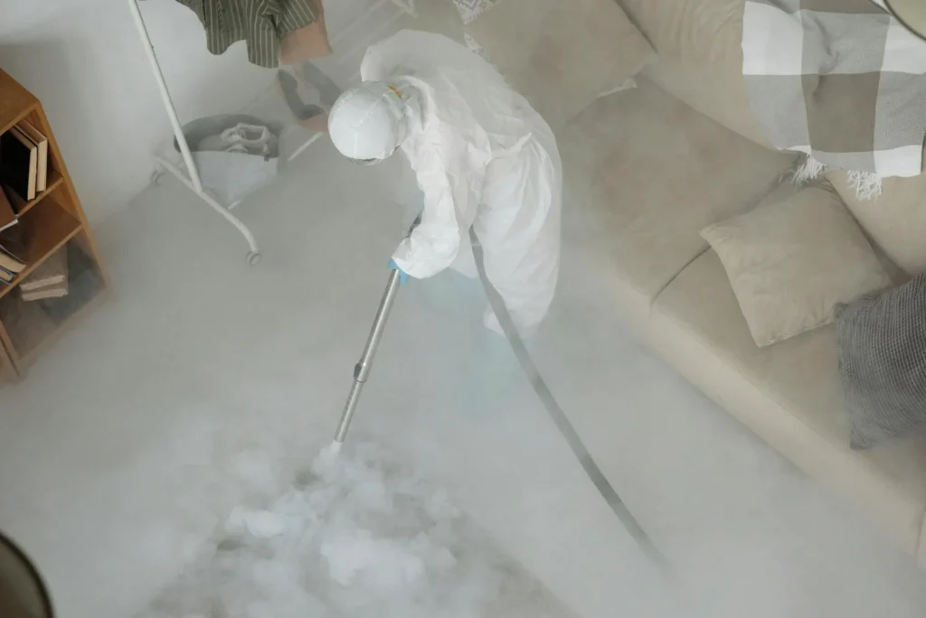 DIY vs. Professional Mosquito Control – What Works Best