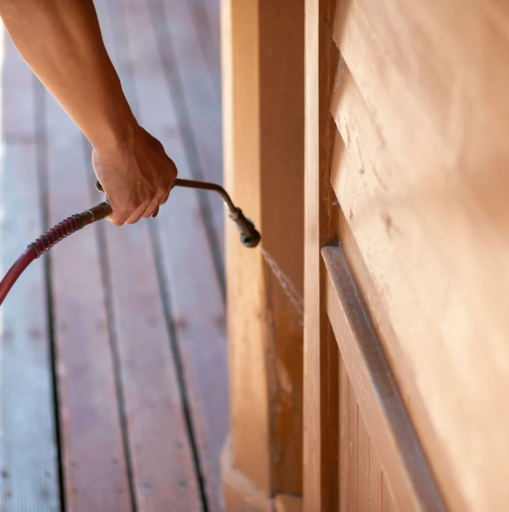 Trusted Pest Control - Sunnyside Best Pest Pros | Sunnyside, NY | 631-284-8358